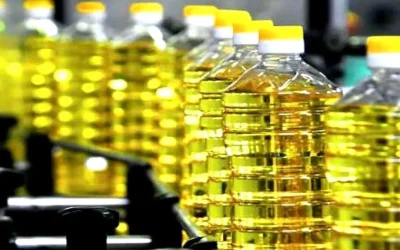 România, lider european la importul de semințe argentiniene pentru ulei