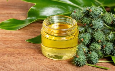 Uleiul de ricin: Beneficii reale sau mituri? Verdictul științei