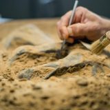 Descoperire ULUITOARE în Egipt: Mormânt antic cu mumii și „limbi” de AUR