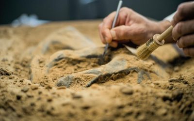 Descoperire ULUITOARE în Egipt: Mormânt antic cu mumii și „limbi” de AUR