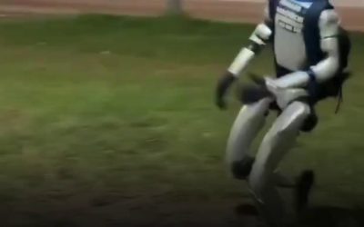 Robot umanoid, erou urban: Alungă mistreți de pe o stradă din Polonia