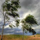 Vânt puternic și temperaturi ridicate în București: Cod Galben