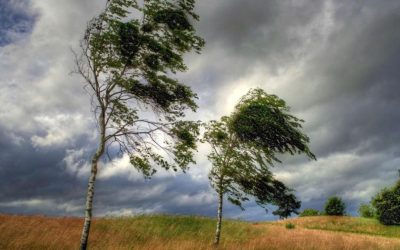 Vânt puternic și temperaturi ridicate în București: Cod Galben