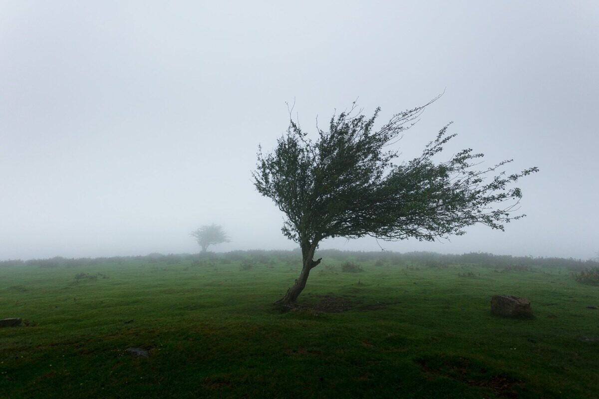 Alertă meteo: Cod galben de vreme rea vineri și sâmbătă în România