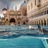 Veneția, înghițită de ape: Orașul e în pericol, mutarea costă enorm