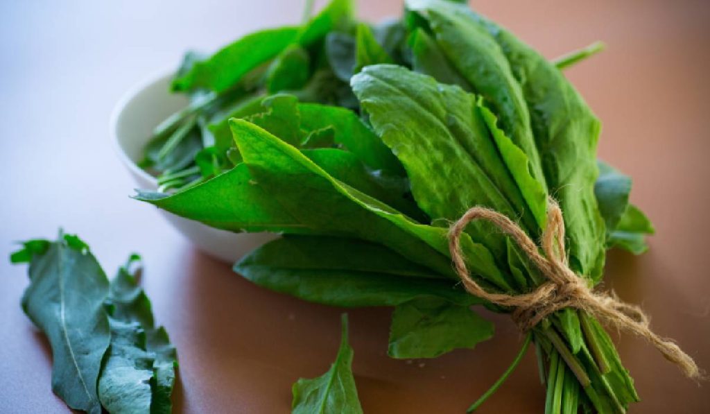 Verdețurile scad tensiunea: Un studiu arată efecte benefice asupra sănătății