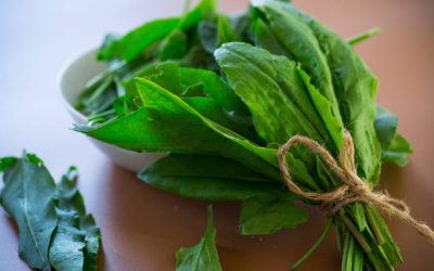 Verdețurile scad tensiunea: Un studiu arată efecte benefice asupra sănătății