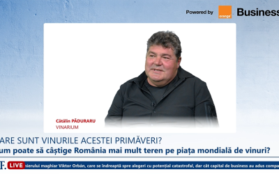 Ce surprize aduce Vinarium 2024? Cătălin Păduraru: 1.600 de vinuri la concurs