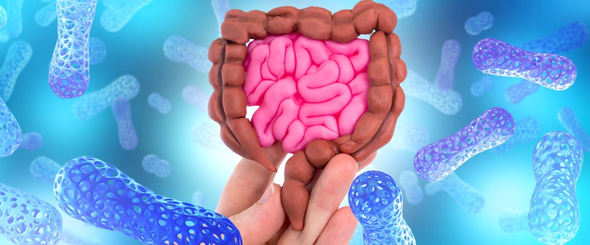 O proteină „secretă” din intestin luptă cu bacteriile inamice