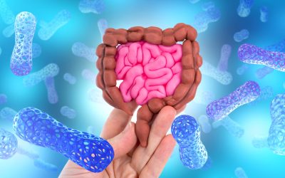 O proteină „secretă” din intestin luptă cu bacteriile inamice