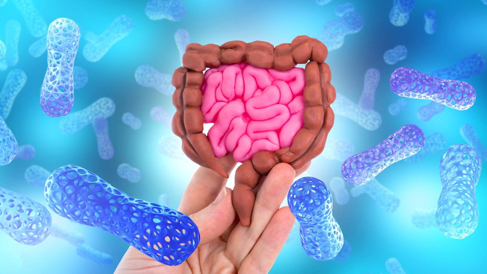 O proteină-cheie din intestin, numită intelectină-2, a fost identificată de cercetători ca fiind un scut puternic împotriva bacteriilor dăunătoare