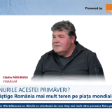 Ce vinuri românești alegem de Sărbători? Cătălin Păduraru recomandă Feteasca Neagră din România