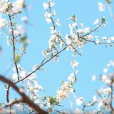 Vremea în București: Ploi și temperaturi prietenoase până pe 22 Aprilie