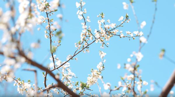 Vremea în București: Ploi și temperaturi prietenoase până pe 22 Aprilie