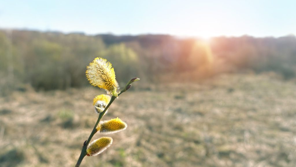 Vremea se schimbă radical: Vine frigul și ploaia de Paște Vremea se va schimba semnificativ în următoarele două săptămâni, cu o răcire accentuată și precipitații în majoritatea regiunilor, potrivit prognozei meteo