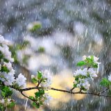 Meteorologii anunță frig și ploi de 1 Mai în România