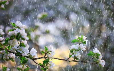 Meteorologii anunță frig și ploi de 1 Mai în România