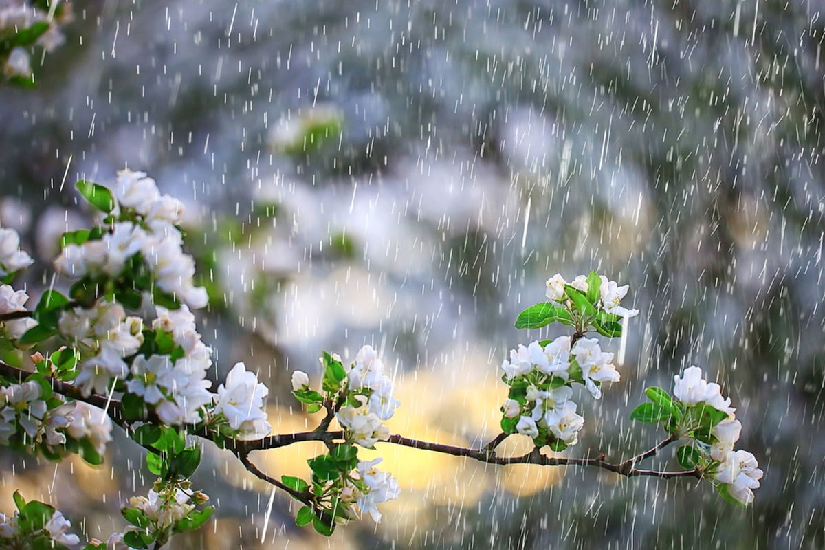 Meteorologii anunță frig și ploi de 1 Mai în România