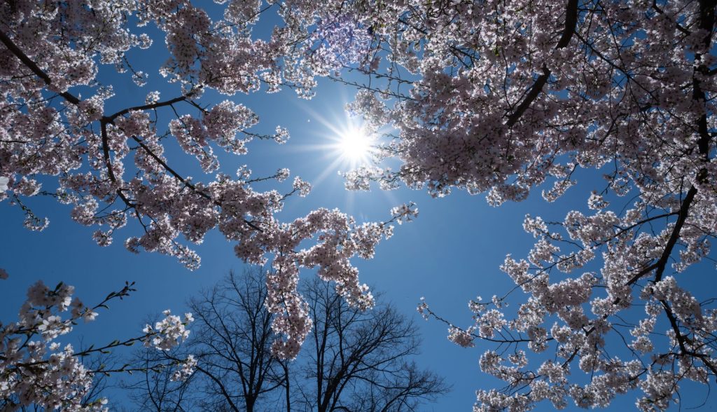 Prognoza meteo de 1 Mai: Cum va fi vremea în România și Europa