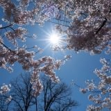 Prognoza meteo de 1 Mai: Cum va fi vremea în România și Europa