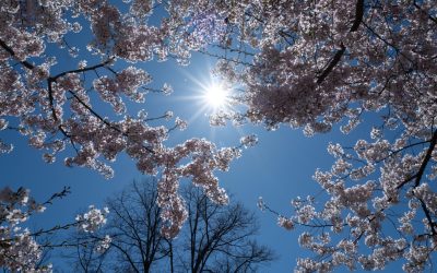 Prognoza meteo de 1 Mai: Cum va fi vremea în România și Europa