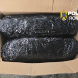 Captură spectaculoasă la Târgu Mureș: 13 kg de canabis, aduse din Spania
