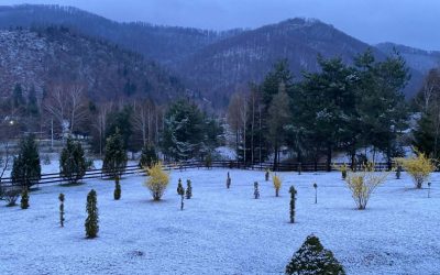 Zăpada mieilor în Bihor: Ninsoare neașteptată înaintea Paștelui