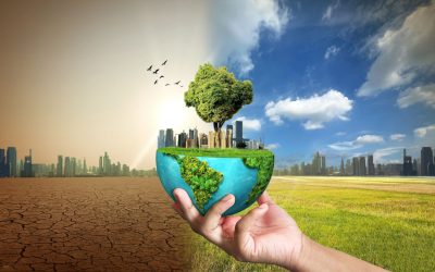 Ziua Pământului 2026: Ce putem face zi de zi pentru planetă?