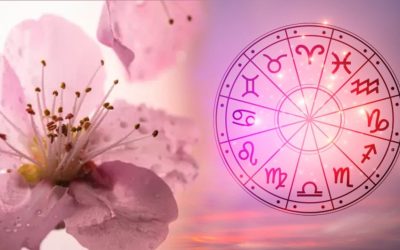 Taurii, gata să rupă legături toxice. Fecioarele, pe valul succesului