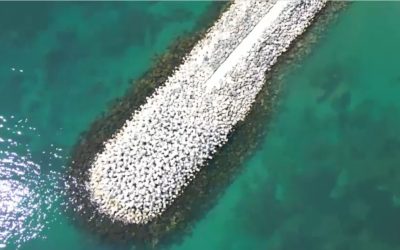 Marea Neagră, ca în Caraibe: Apa turcoaz, un spectacol rar pe litoralul României