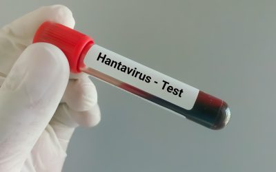 Hantavirus: Pompier de la ISU Caraș-Severin, suspect de infecție după o călătorie în Serbia