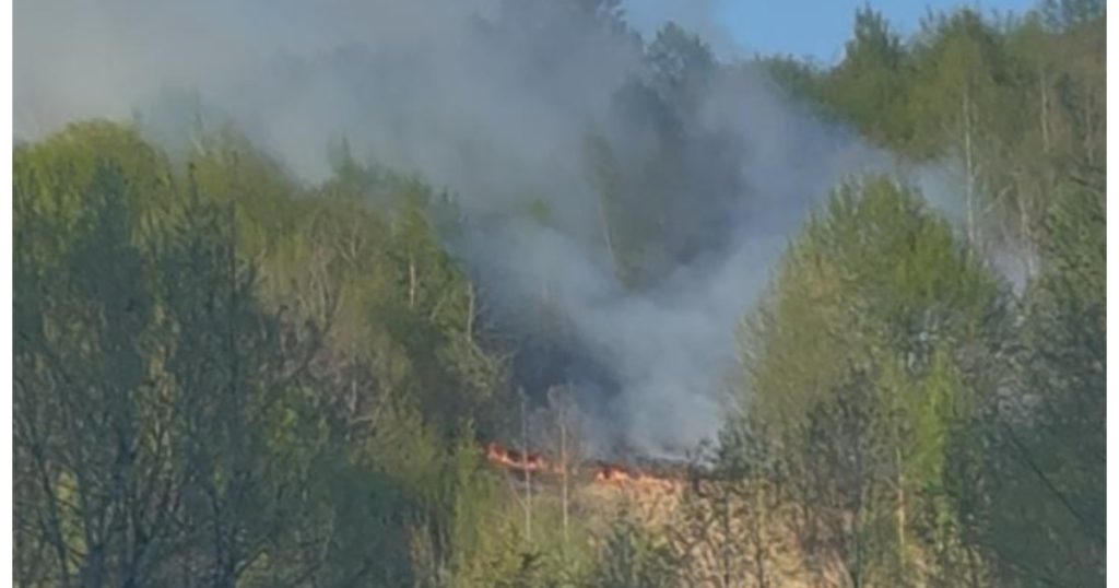 Incendiu devastator în Bistrița-Năsăud: Flăcările au mistuit Valea Anieșului