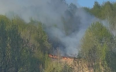 Incendiu devastator în Bistrița-Năsăud: Flăcările au mistuit Valea Anieșului