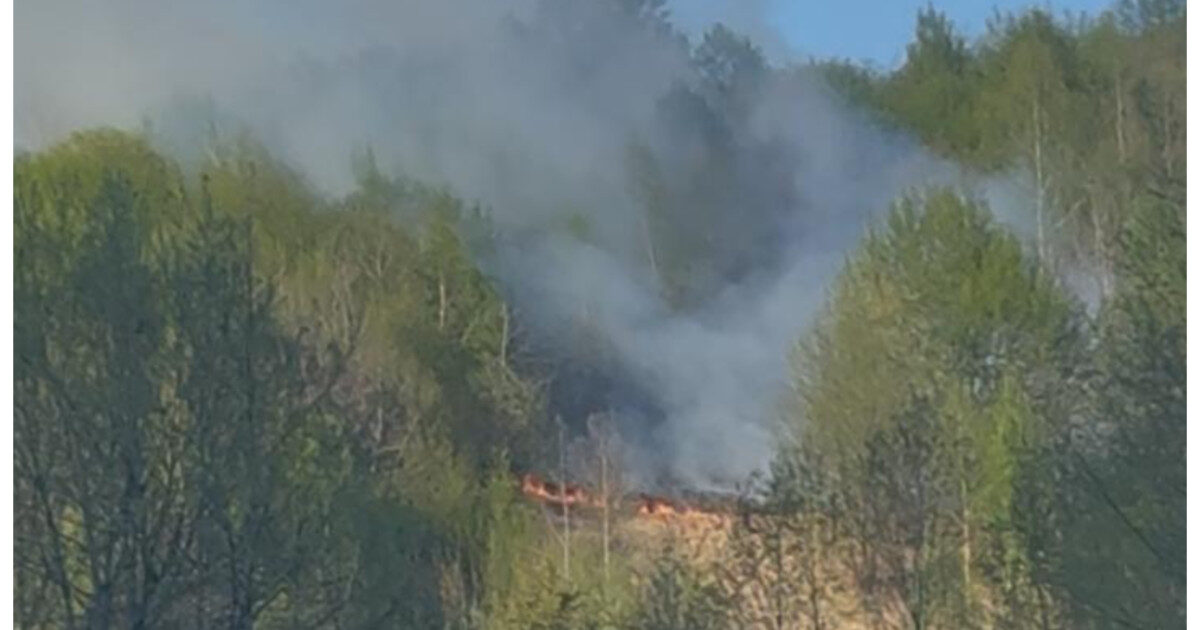 Incendiu devastator în Bistrița-Năsăud: Flăcările au mistuit Valea Anieșului