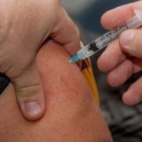Hantavirus: Temeri globale. Când va fi gata primul vaccin?