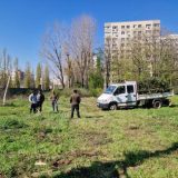 Codrii Neamțului, parc sau mall? Decizia, amânată a patra oară