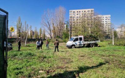 Codrii Neamțului, parc sau mall? Decizia, amânată a patra oară