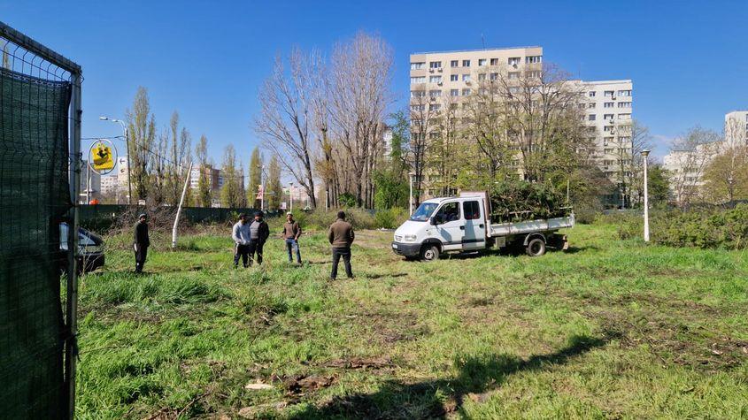 Codrii Neamțului, parc sau mall? Decizia, amânată a patra oară