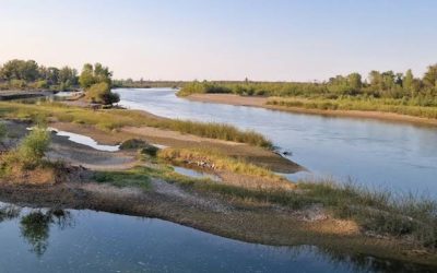 Dispariția din Vrancea: Un copil de 4 ani, găsit mort într-un lac, la 1 km