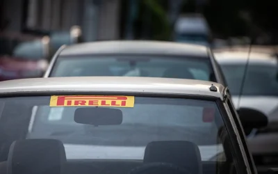 Taxe uriașe pentru rable: Proprietarii plătesc cu 50% mai mult. Unde-s regulile dure?