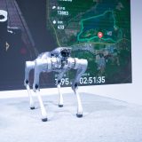 Robocâinele de pază, spion chinezesc: Un bărbat, raportat de propriul câine!