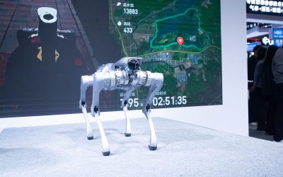 Robocâinele de pază, spion chinezesc: Un bărbat, raportat de propriul câine!