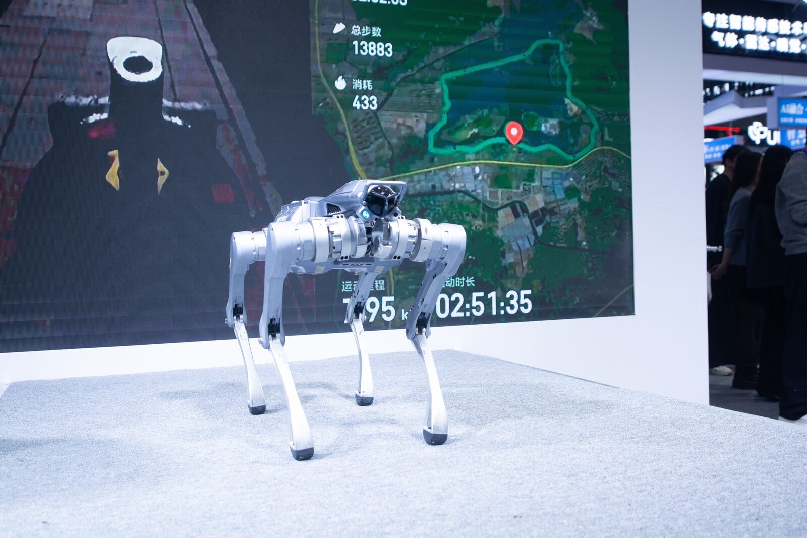 Robocâinele de pază, spion chinezesc: Un bărbat, raportat de propriul câine!