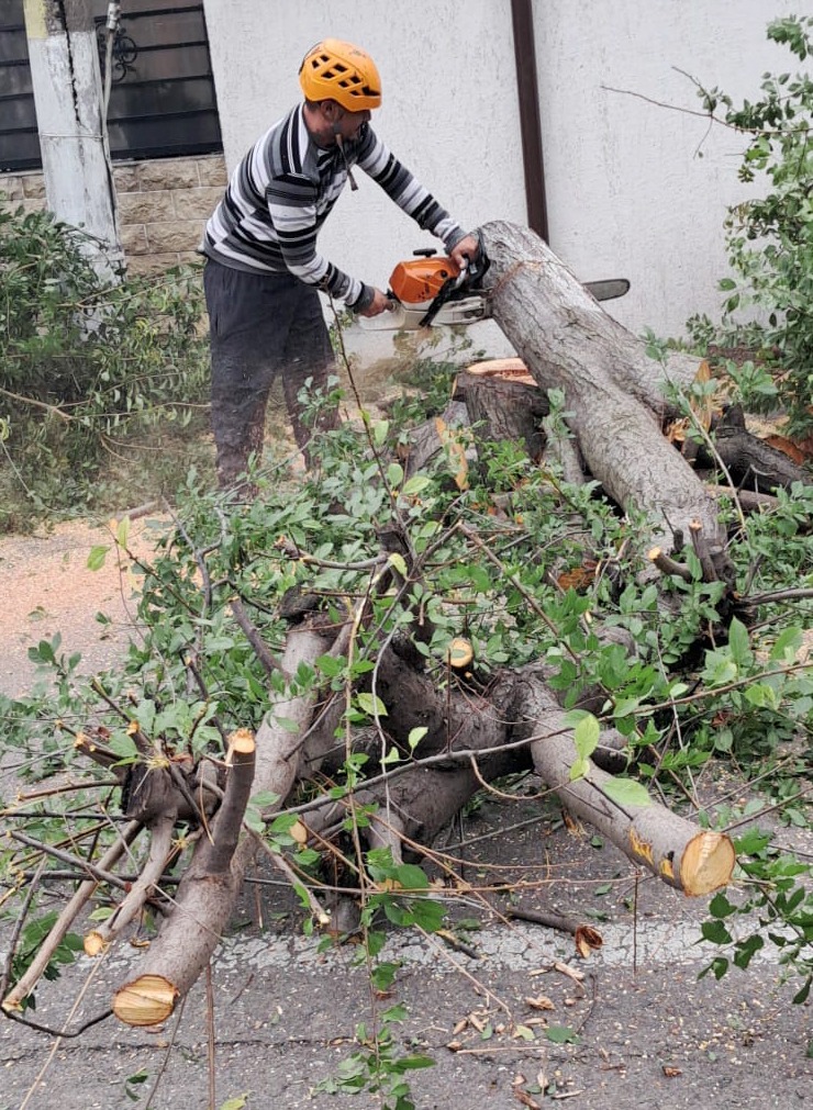 Furtună devastatoare: Copaci rupți, mașini avariate în șase județe