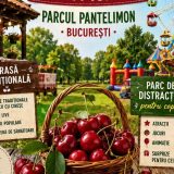 Festival Cireșe și Plăcinte Brașovene Weekend în Parcurile Pantelimon și IOR