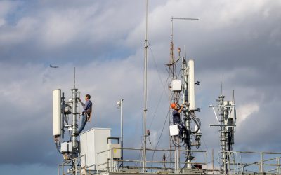 BEREC cere explicații la legea digitală pentru a salva piața internă