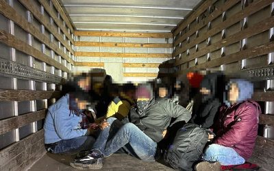 Raiduri Antrenătate: 5 Arestări în Germania și Elveția pentru Trafic de Migranți
