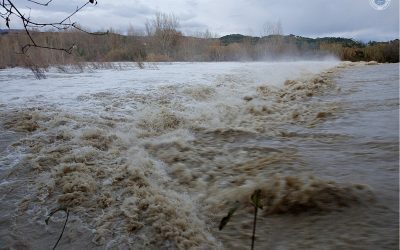 Cod galben pe râuri în 21 de județe, pericol major în Argeș, Dâmbovița, Prahova, Harghita