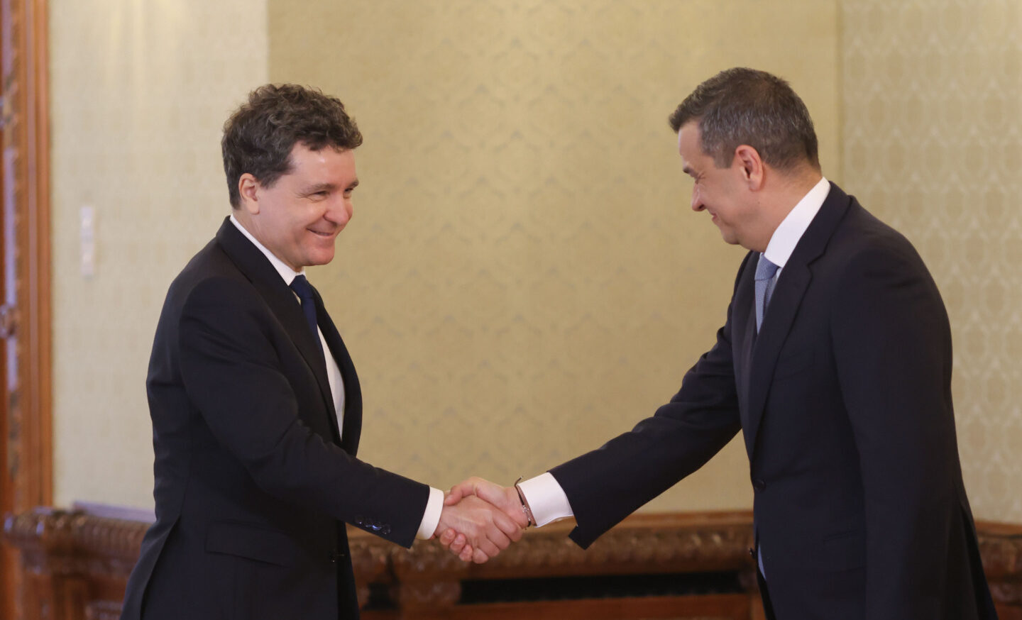 Nicosor Dan, furios pe PSD: Au blocat legile PNRR