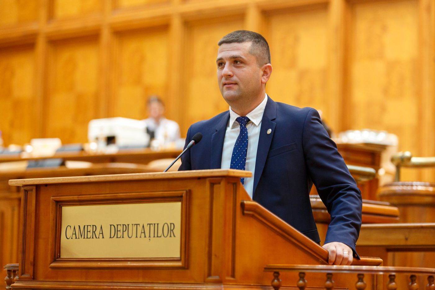 Miruță: Armata vizează producția românească